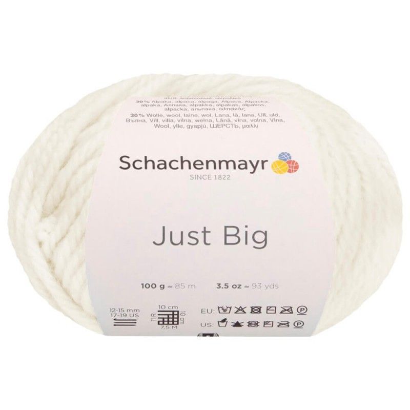 Schachenmayr Just Big. - Imagen 2