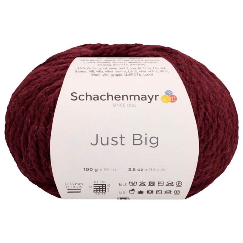 Schachenmayr Just Big. - Imagen 6